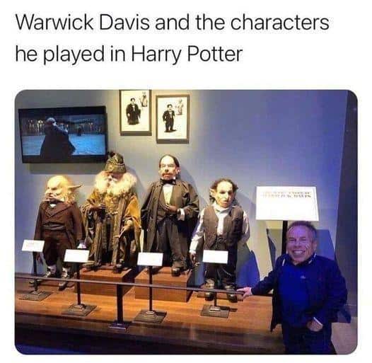 harry potter memes, Potter memes, wizarding memes Harry Potter jokes, Hogwarts memes, Harry Potter fan memes fantasy memes, magical memes, Potterhead humor