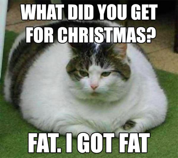 WHAT DID YOU GET FOR CHRISTMAS? FAT. I GOT FAT