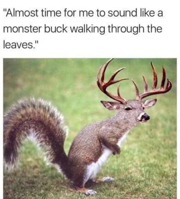"Almost time for me to sound like a monster buck walking through the leaves."
