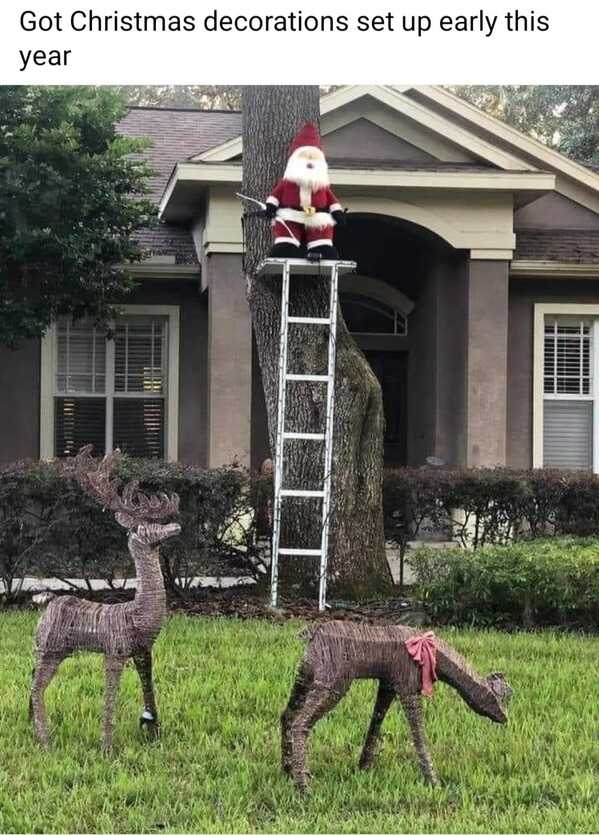 Got Christmas decorations set up early this year
