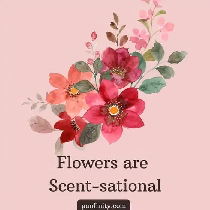 illustrated puns, punify, visual puns, graphic puns, illustrated jokes creative puns, witty puns, funny illustrations artistic puns, punny art, clever puns