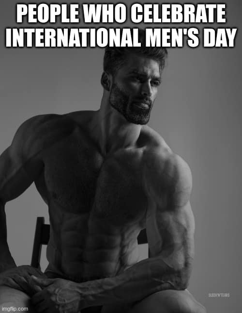 international men's day memes, men’s day memes, Mens Day memes, International Men's Day humor, men’s appreciation jokes, funny men memes, men’s humor, celebration memes, recognition memes, funny celebration memes