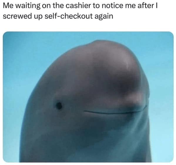 Me waiting on the cashier to notice me after I screwed up self-checkout again