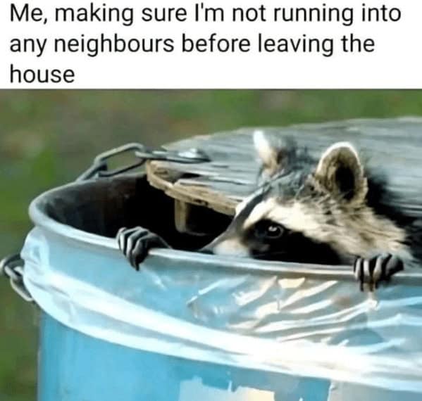 Me, making sure I'm not running into any neighbours before leaving the house