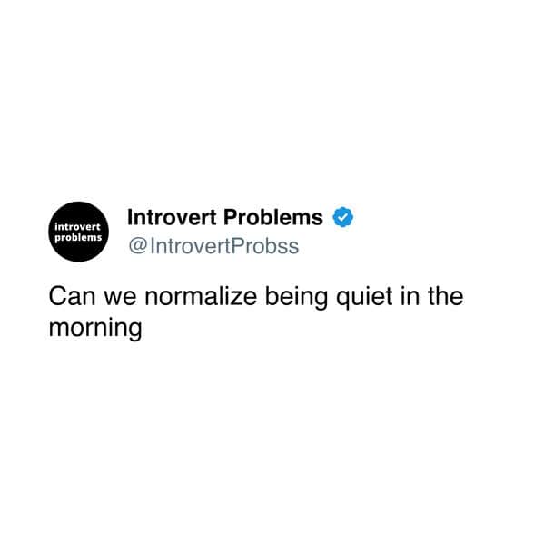 introvert memes, introvert problems, introvert humor, introvert jokes, introvert humor, quiet person memes, introvert jokes, introvert life humor, solitary memes