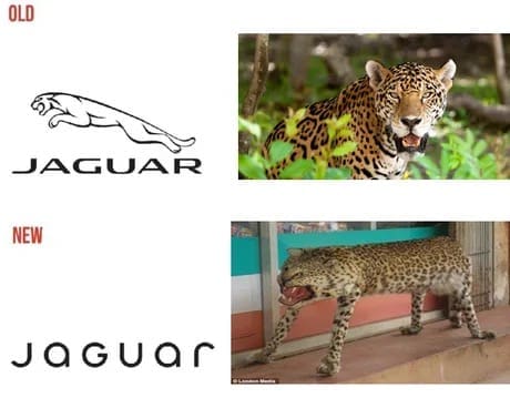 jaguar commercial memes, jaguar memes, Jaguar rebrand memes, Jaguar advertising memes, Jaguar branding memes, brand criticism memes, advertising fail memes, corporate rebrand jokes, marketing memes, logo critique memes, car brand memes