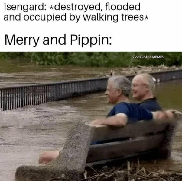 lotr memes, lord of the rings memes, Lord of the Rings humor, Tolkien fandom jokes, funny Middle-earth references, LOTR comedic content, hilarious parodies of the Ring trilogy, witty memes for hobbits and wizards alike