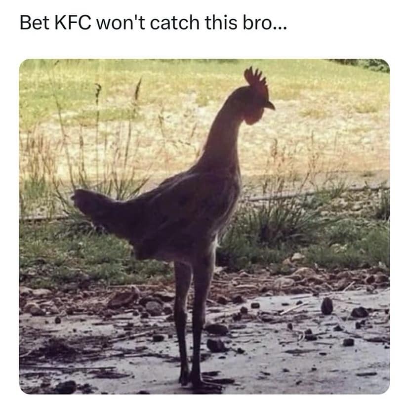 Bet KFC won't catch this bro...