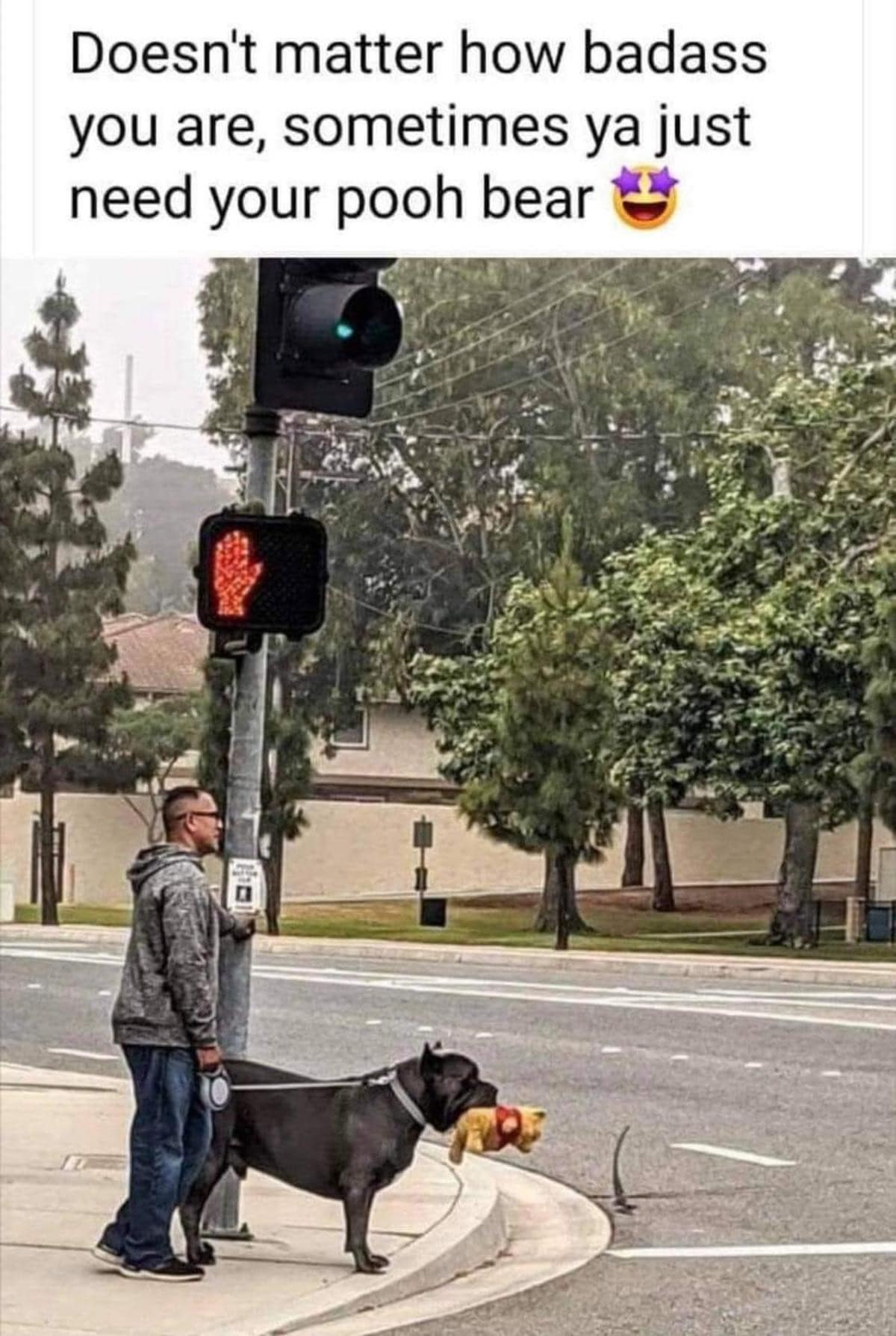 meme dump, funny memes, hilarious memes, meme collection, meme roundup, viral memes, trending memesv