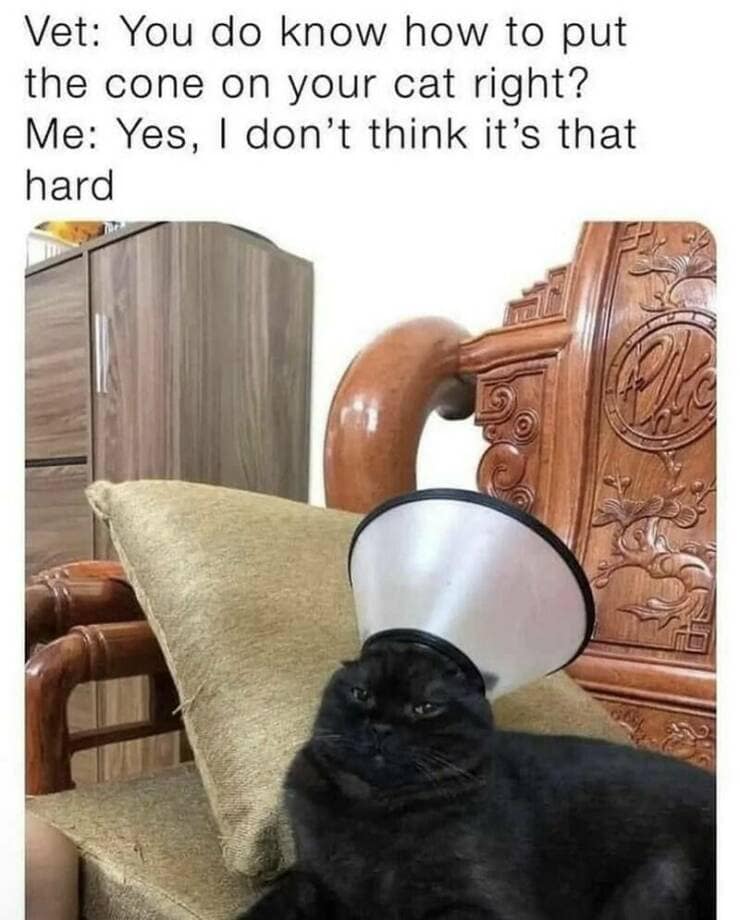 meme dump, funny memes, hilarious memes, lunch break meme dump, meme collection, funny meme assortment, viral memes, internet memes, trending memes, meme humor