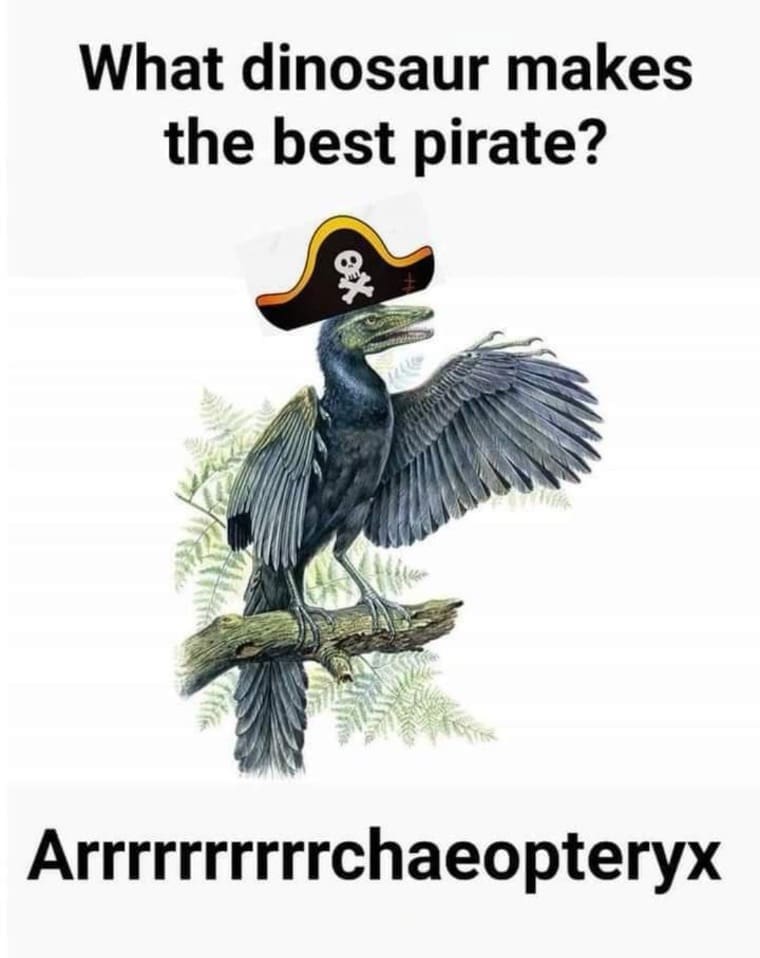 meme dump, funny memes, hilarious memes, meme collection, meme roundup, meme compilation, internet memes, viral memes, trending memes