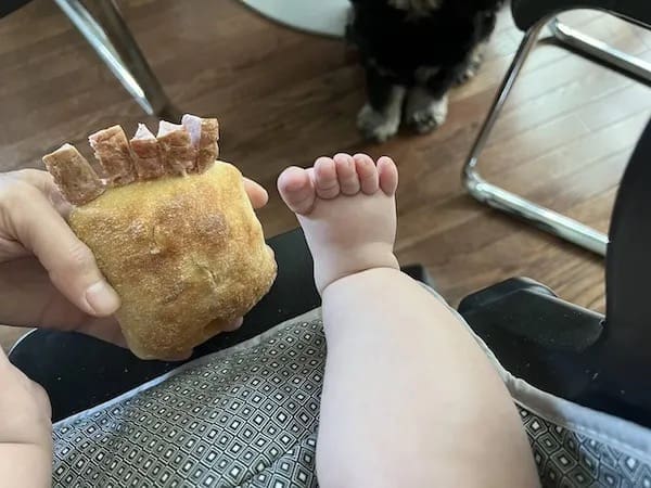 meme dump, funny memes, hilarious memes, meme collection, meme roundup, meme compilation, internet memes, viral memes, trending memes