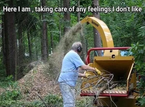 meme dump, funny memes, hilarious memes, lunch break meme dump, meme collection, funny meme assortment, viral memes, internet memes, humorous memes, trending memes, meme humor