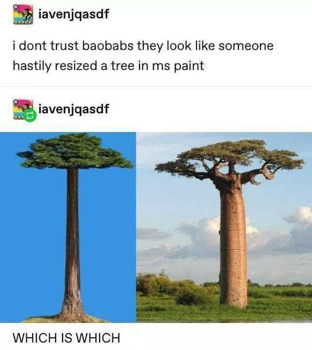 iavenjqasdf i dont trust baobabs they look like someone hastily resized a tree in ms paint iavenjqasdf WHICH IS WHICH
