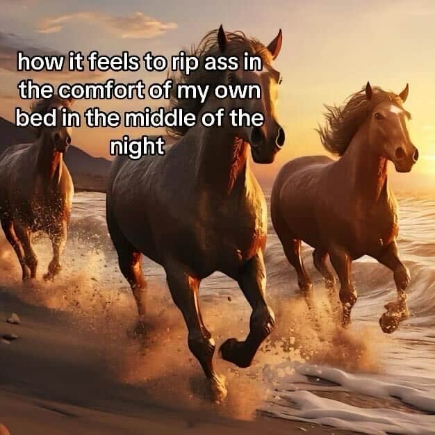 how it feels to rip ass in the comfort of my own bed in the middle of the night