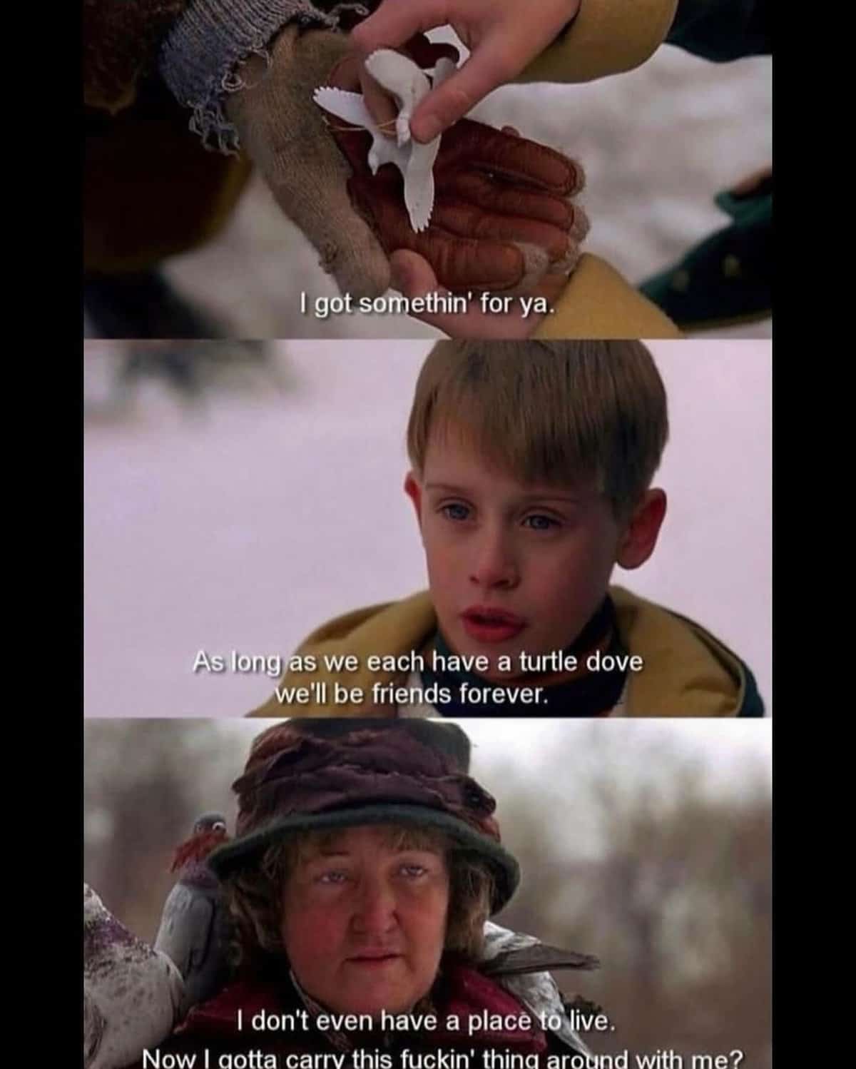 I got somethin' for ya. As long as we each have a turtle dove we'll be friends forever. I don't even have a place to live. Now I gotta carrv this fuckin' thing around with me?