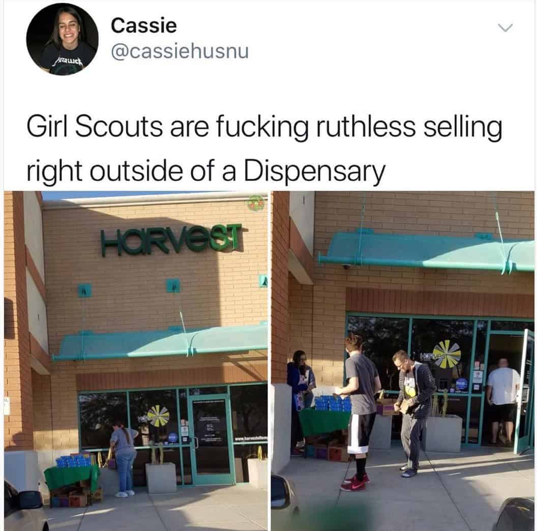 Cassie @cassiehusnu Arauch Girl Scouts are fucking ruthless selling right outside of a Dispensary HARVESI