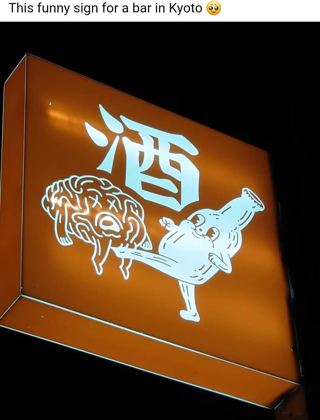 meme dump, funny memes, hilarious memes, weekend memes, Saturday memes, lazy day memes, everyday memes, life memes