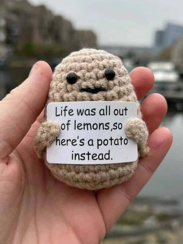 meme dump, funny memes, hilarious memes, meme collection, meme roundup, meme compilation, Saturday entertainment, weekend memes, lazy day memes, Internet humor, online jokes, viral memes
