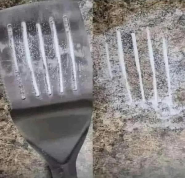 meme dump, funny memes, hilarious memes, lunch break humor, daily memes, internet laughter, meme feast, comedic buffet, laughter bonanza