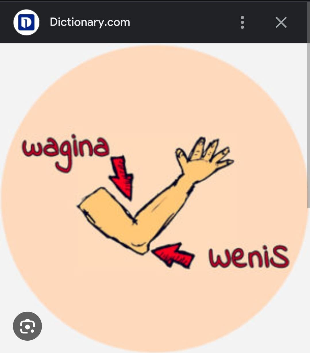 D Dictionary.com wagina wenis