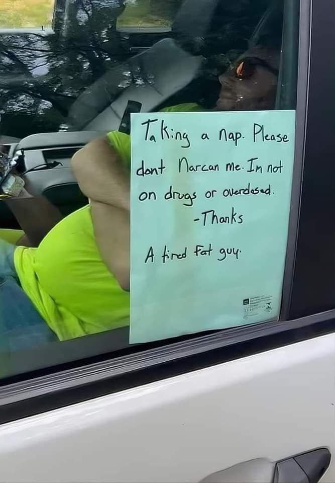 meme dump, funny memes, hilarious memes, lunch break meme dump, meme collection, funny meme assortment, viral memes internet memes, trending memes, meme humor