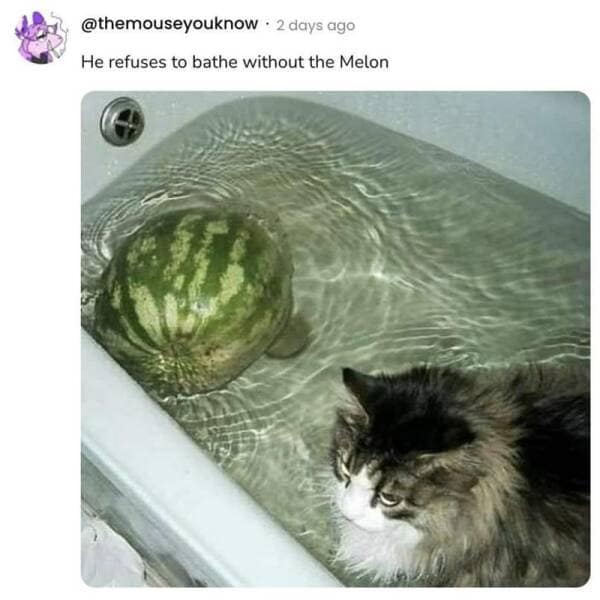 meme dump, funny memes, hilarious memes, meme collection, meme roundup, meme compilation, internet memes, weekend memes, workweek memes