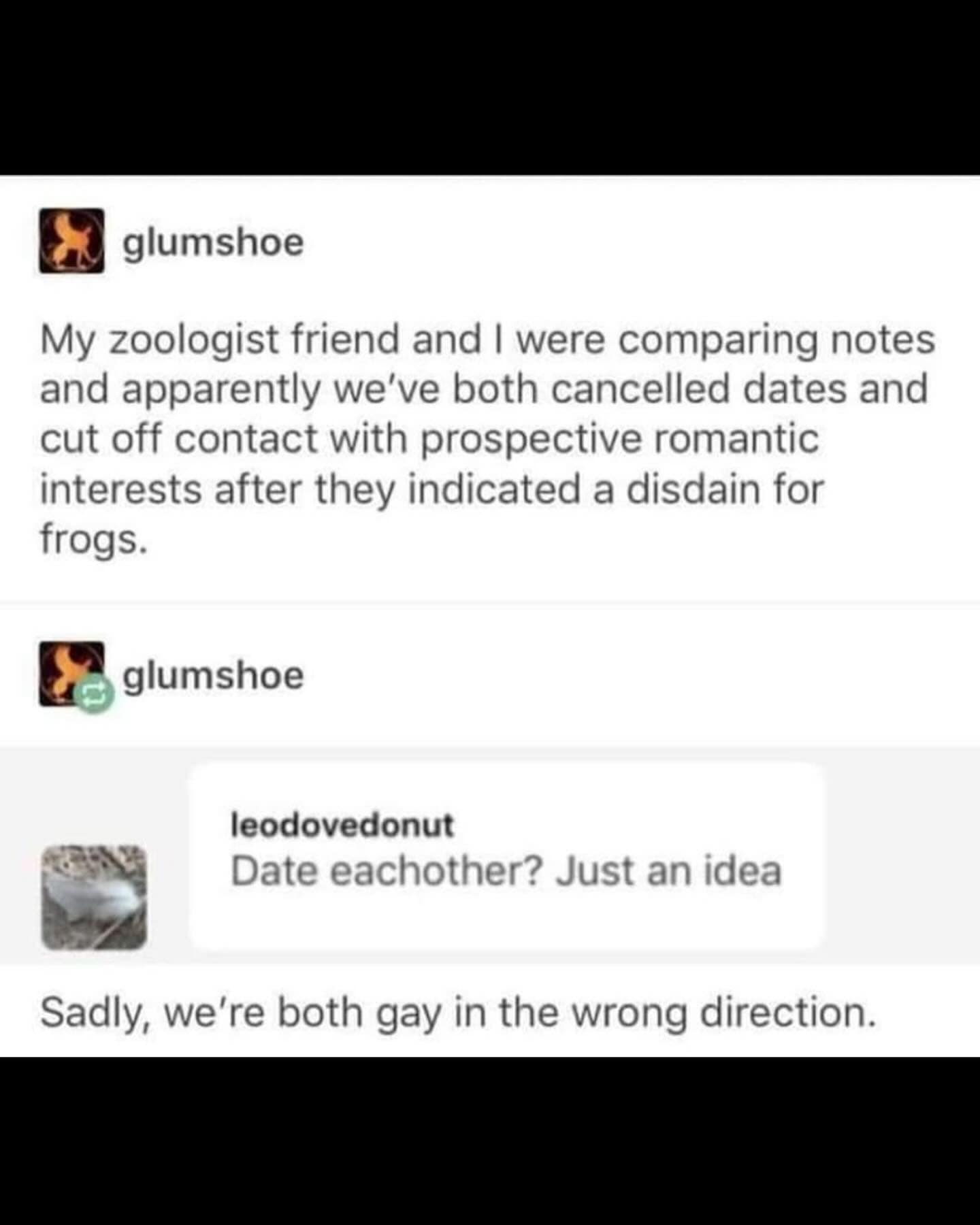 glumshoe My zoologist friend and I were comparing notes and apparently we've both cancelled dates and cut off contact with prospective romantic interests after they indicated a disdain for frogs. glumshoe leodovedonut Date eachother? Just an idea Sadly, we're both gay in the wrong direction.