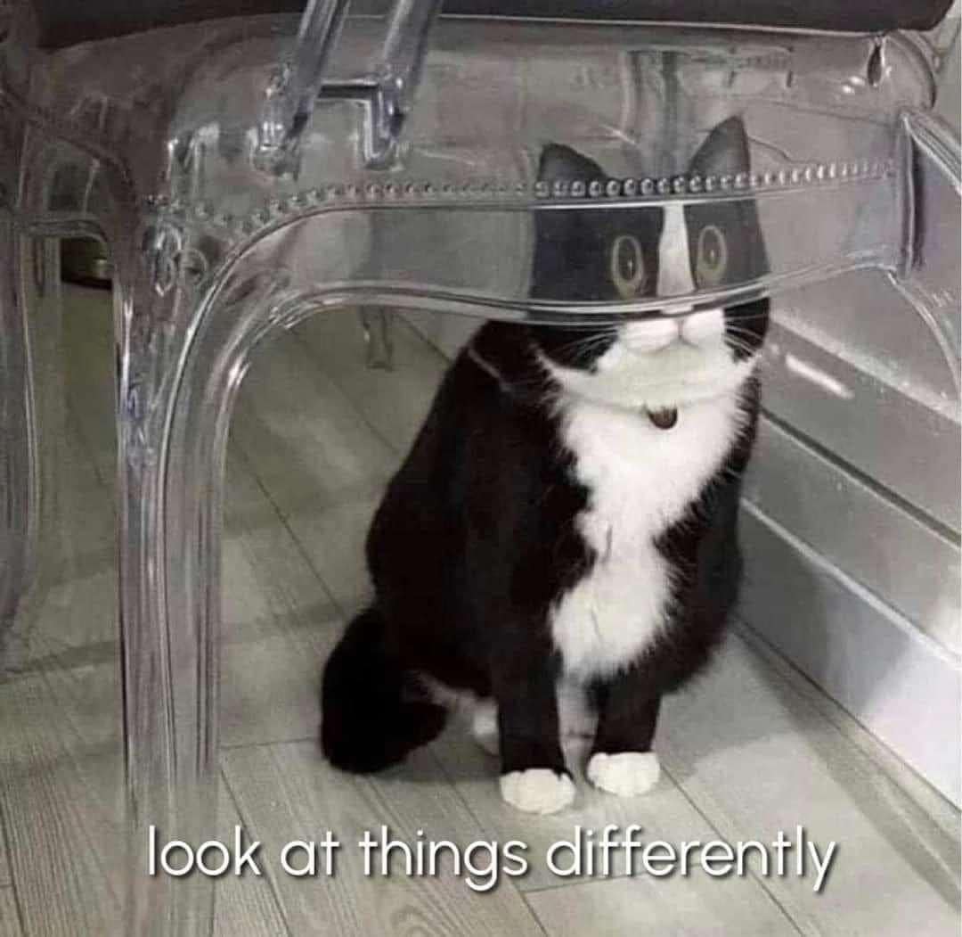 meme dump, funny memes, hilarious memes, meme collection, meme roundup, meme compilation, Saturday entertainment, weekend memes, lazy day memes, Internet humor, online jokes, viral memes