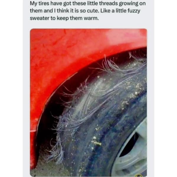 My tires have got these little threads growing on them and I think it is so cute. Like a little fuzzy sweater to keep them warm.