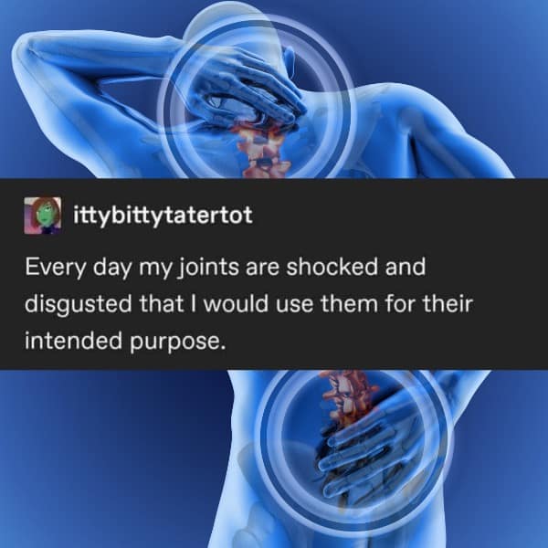 meme dump, funny memes, hilarious memes, lunch break humor, daily memes, internet laughter, meme feast, comedic buffet, laughter bonanza