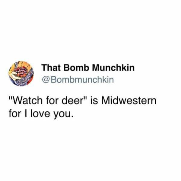 midwest memes, midwestern memes, funny memes about the Midwest, relatable memes, Midwestern life, memes from the Midwest, Midwestern humor, regional memes