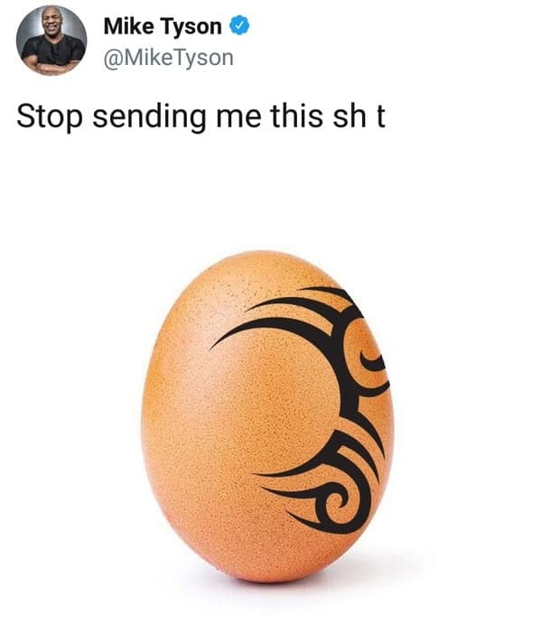 mike tyson memes, Mike Tyson funny images, Mike Tyson jokes, Mike Tyson humor, Boxing memes, boxer memes, fighting memes