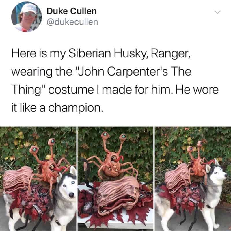 nerd memes, geeky memes, high fantasy enthusiasts, fans of fantasy fiction, science fiction jokes, allusions to sci-fi works