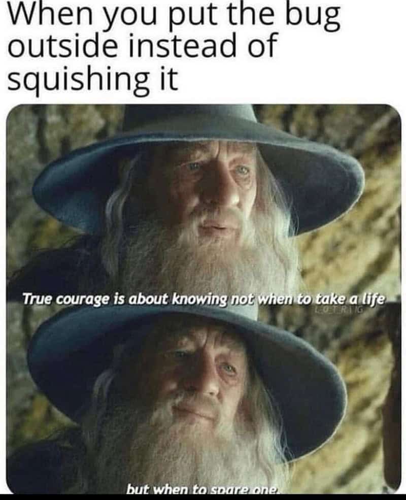 nerd memes, geeky memes, geek memes, sci-fi memes, nerd humor sci-fi memes, space memes, futuristic memes, geek humor, tech memes