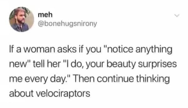 oddly specific memes, niche memes, specific humor, detailed memes, precise humor, hyper-specific jokes, unique experiences, micro-memes, specific jokes