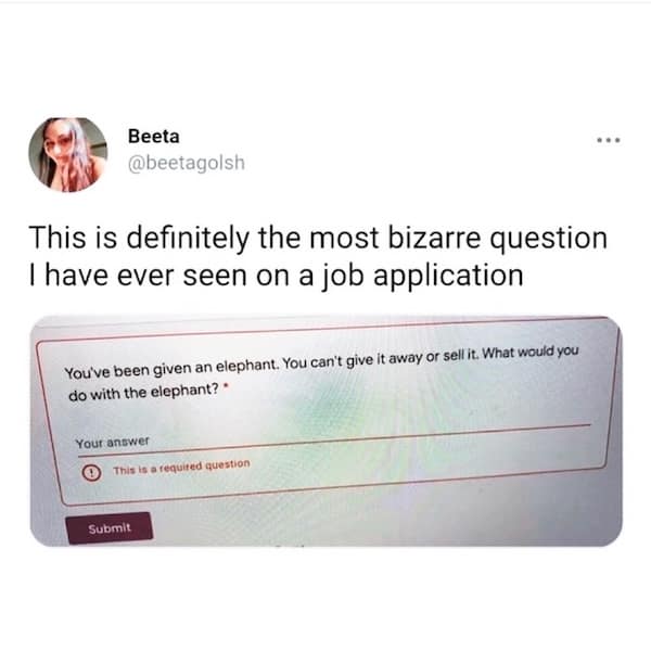 This is definitely the most bizarre question Thave ever seen on a job application