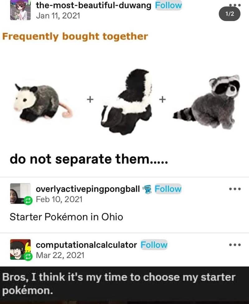 Ohio memes, Ohio memes, Buckeye memes, Ohio humor, Ohio jokes, funny Ohio, Ohio humor, Buckeye jokes, state memes, regional humor