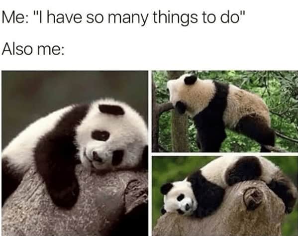 Me: "I have so many things to do" Also me: