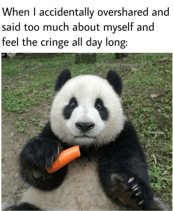 When I accidentally overshared and said too much about myself and feel the cringe all day long: