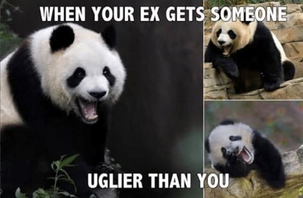 WHEN YOUR EX GETS SOMEONE UGLIER THAN YOU
