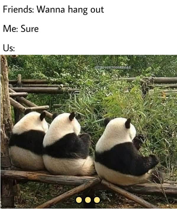 Friends: Wanna hang out Me: Sure Us: