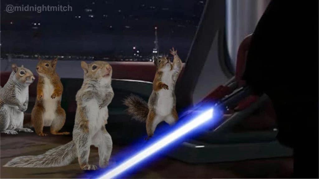 peanut the squirrel memes, famous squirrel memes, animal controversy memes, P'nut the squirrel memes, squirrel viral memes, New York squirrel memes, pet squirrel memes