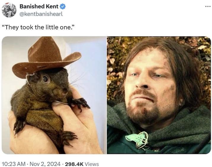 peanut the squirrel memes, famous squirrel memes, animal controversy memes, P'nut the squirrel memes, squirrel viral memes, New York squirrel memes, pet squirrel memes