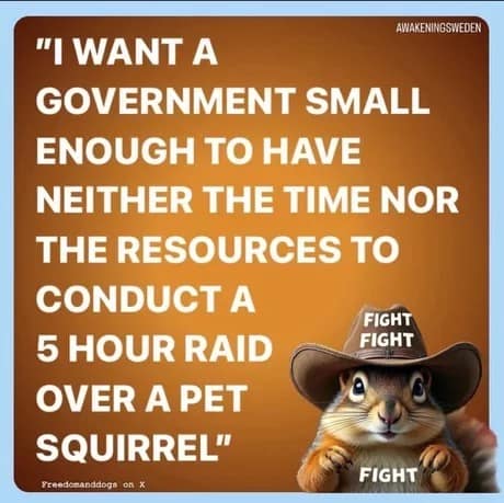 peanut the squirrel memes, famous squirrel memes, animal controversy memes, P'nut the squirrel memes, squirrel viral memes, New York squirrel memes, pet squirrel memes