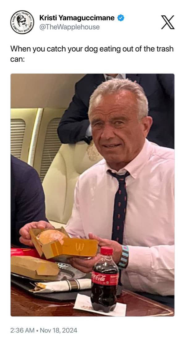 When you catch your dog eating out of the trash can: