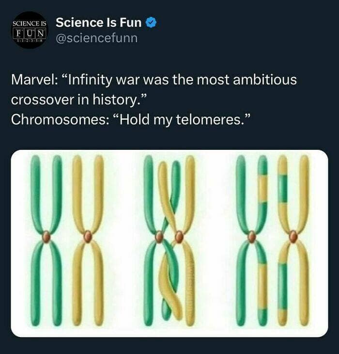 science memes, STEM memes, nerdy memes, educational memes STEM memes, funny science memes, geeky memes educational memes, STEM humor, science humor