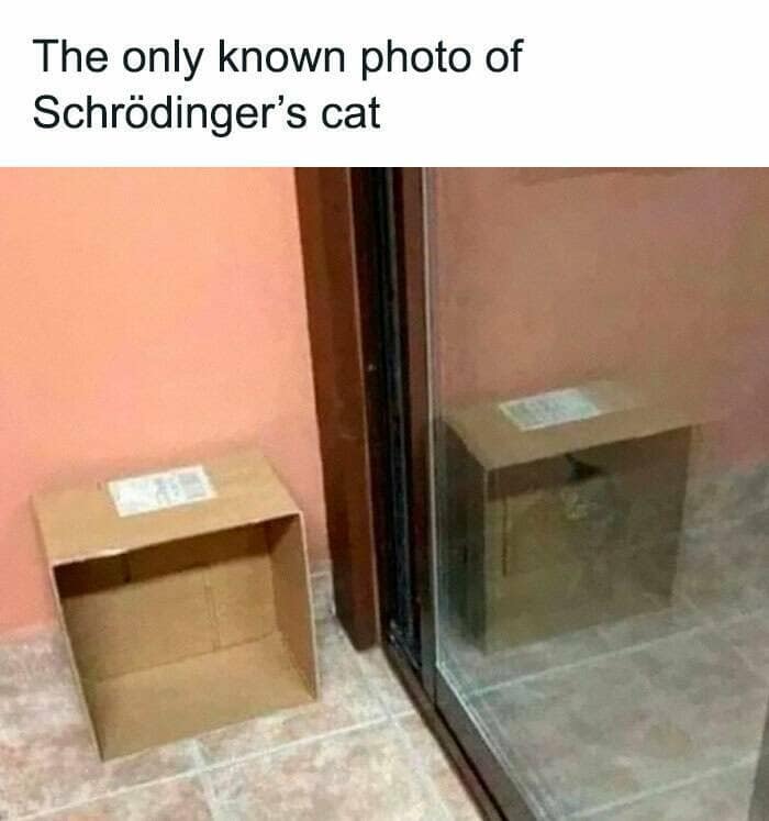 science memes, STEM memes, nerdy memes, educational memes STEM memes, funny science memes, geeky memes educational memes, STEM humor, science humor