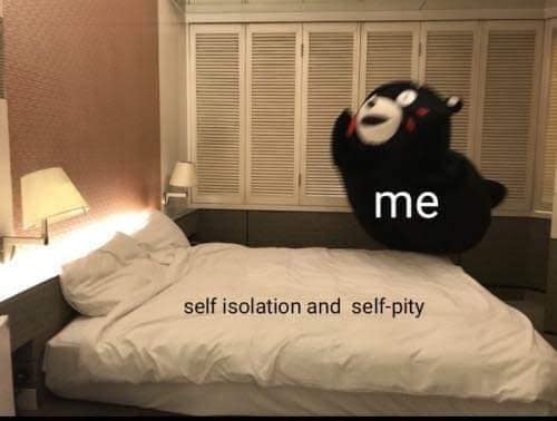 seasonal affective disorder memes, SAD memes, winter blues memes, seasonal depression memes, winter humor, cold weather struggles, funny winter memes, gloomy season humor