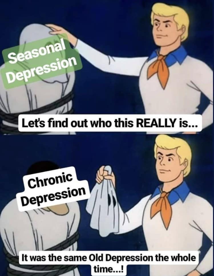 seasonal affective disorder memes, SAD memes, winter blues memes, seasonal depression memes, winter humor, cold weather struggles, funny winter memes, gloomy season humor